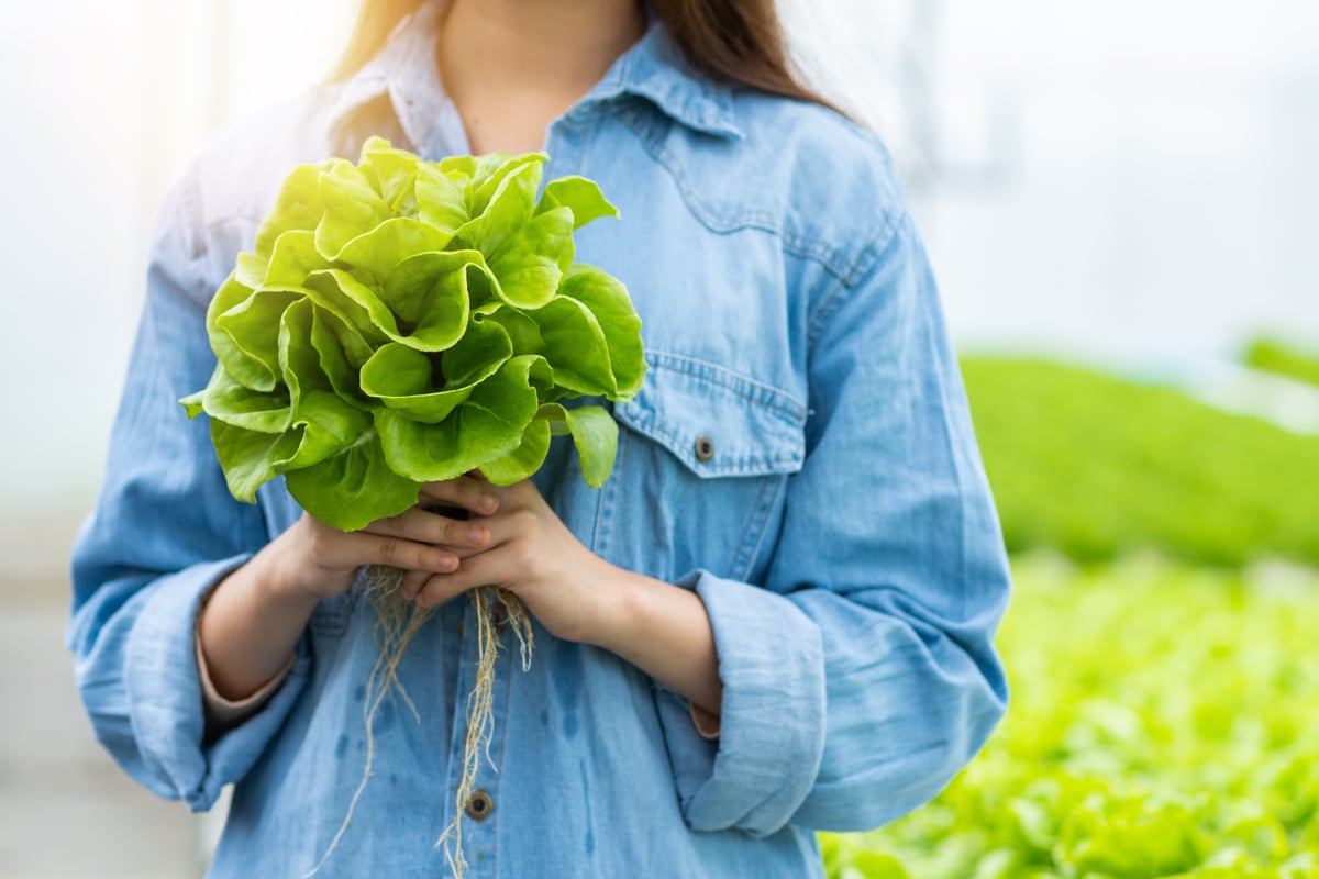 Woman Holding Fresh Lettuce
